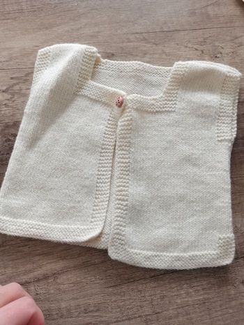 Petit gilet
