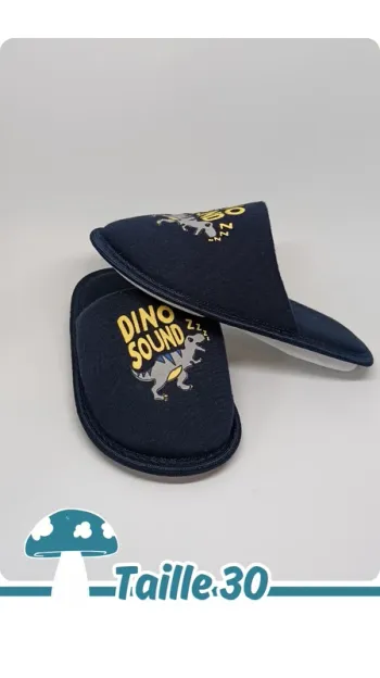 🍄 Chaussons dinosaures bleus – taille 30