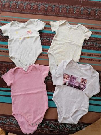 Lot  bodies 12 mois