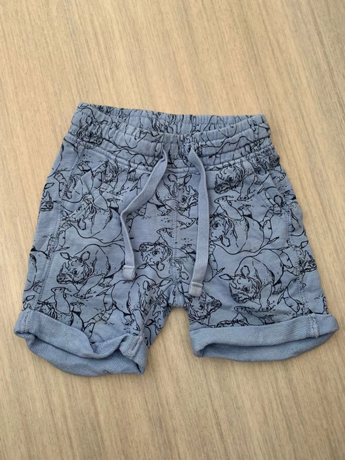 Short animaux