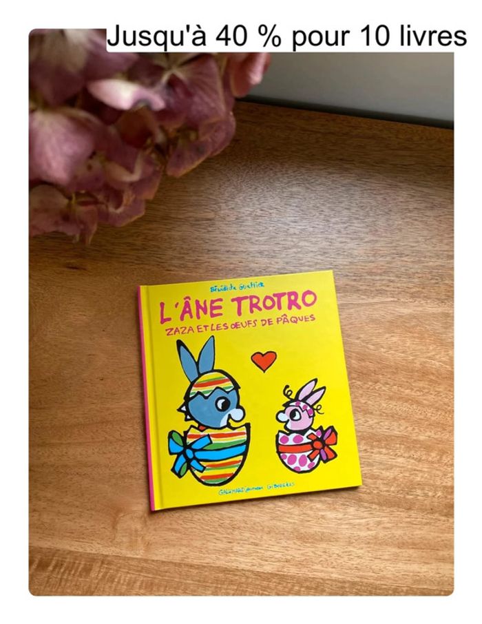 Livre enfant trotro