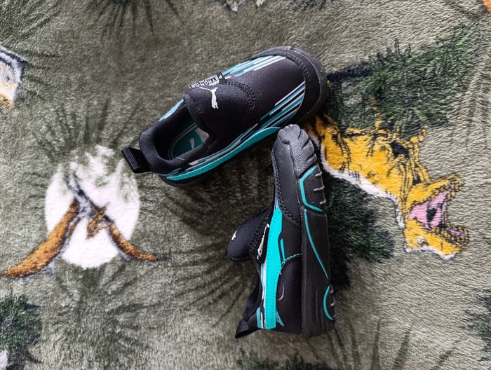 Puma mercedes