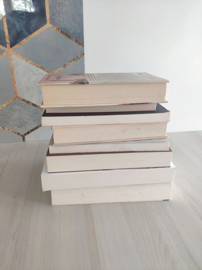 Promotion déstockage Lot 8 livres Claudel Musso Bordes Goddard Kalotay Cuong Albis - photo numéro 12