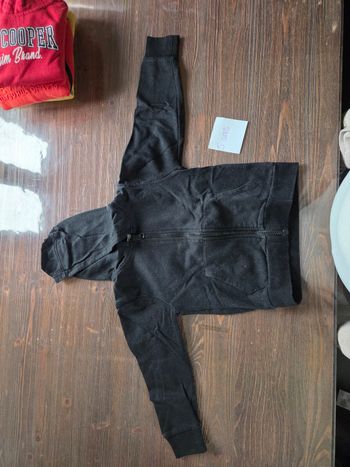 Veste
