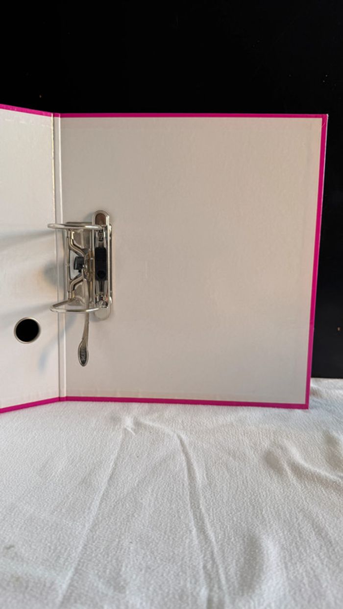 Classeur à levier Leitz Rose - photo numéro 5