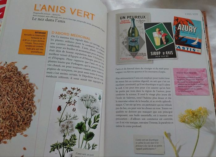 Œufs en fête - photo numéro 2