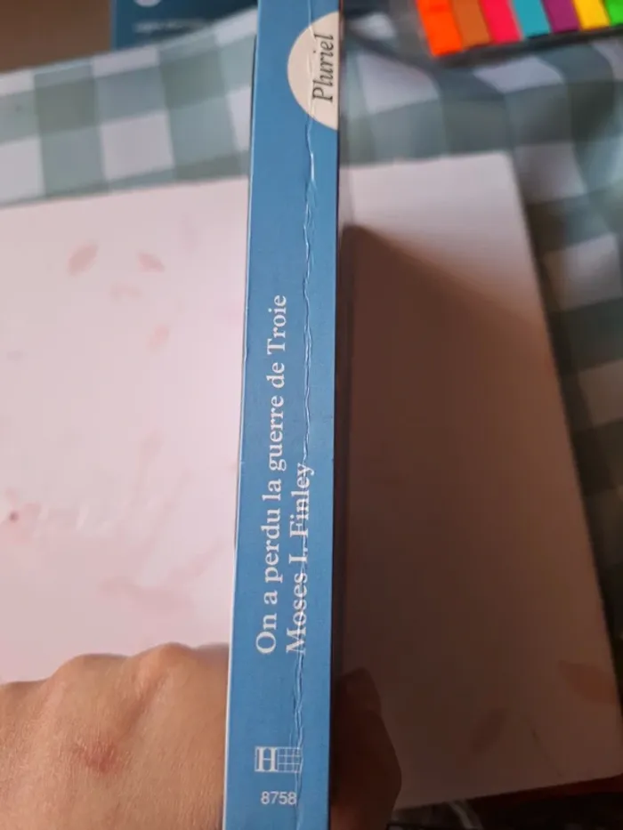 On a perdu la guerre de troie - photo numéro 2