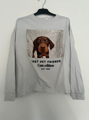 Pull 11/12ans