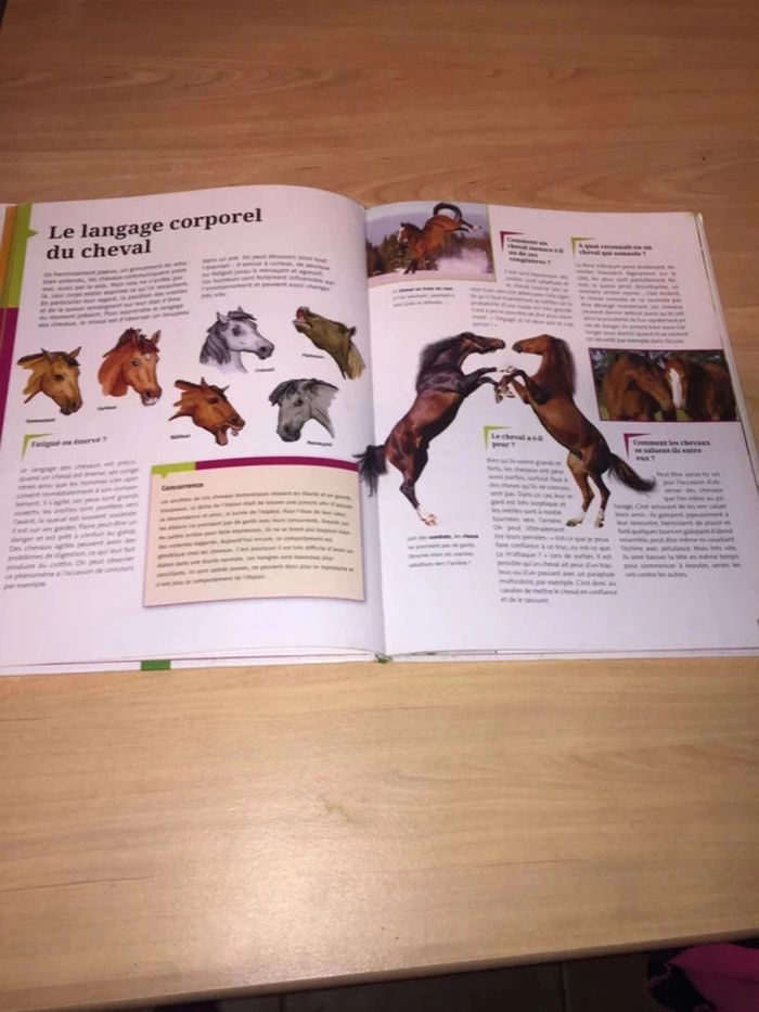 Livre les chevaux en bon état à 4 euros - photo numéro 3