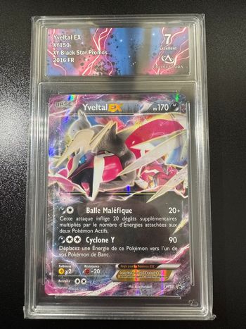 Yveltal xy150 - Collectaura 7