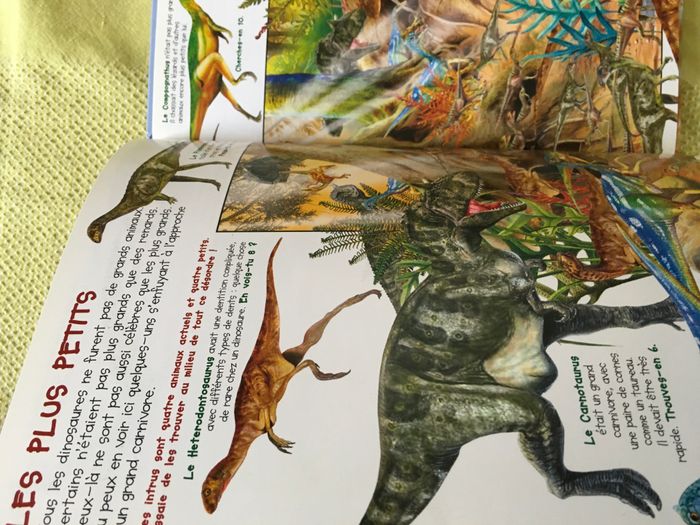 Livre Observe les dinosaures et trouve l'intrus - photo numéro 5