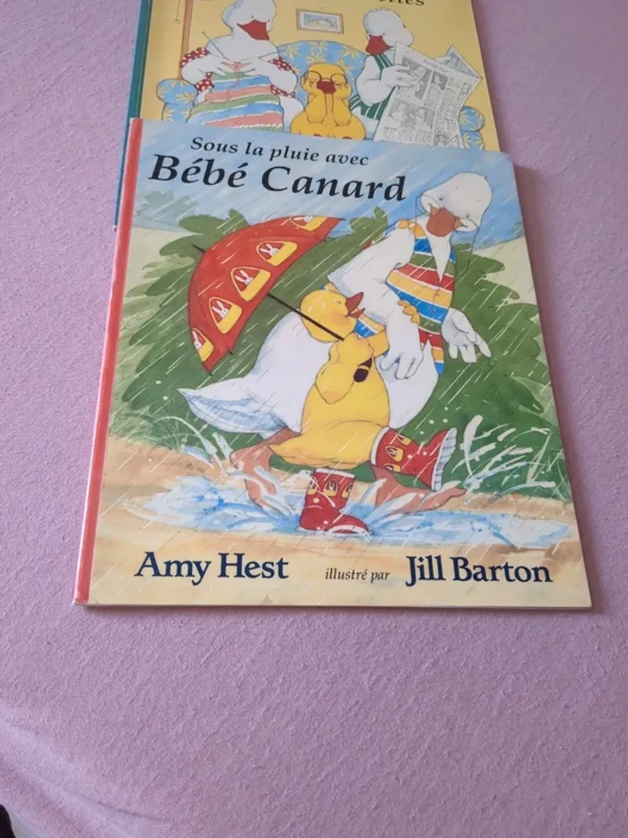 Bébé canard - photo numéro 2