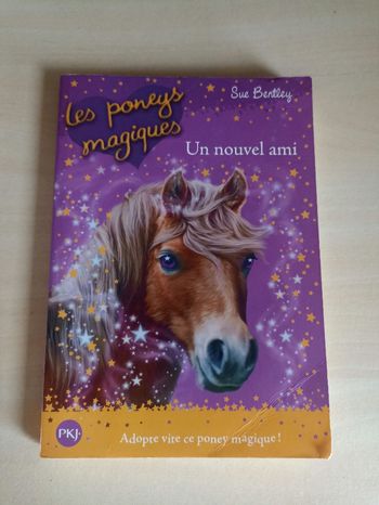 Livre Les poneys magiques Un nouvel ami 