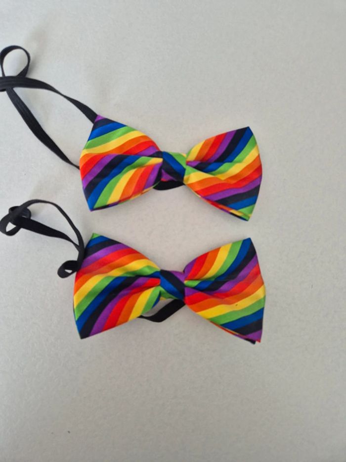 Nœud papillon multicolor