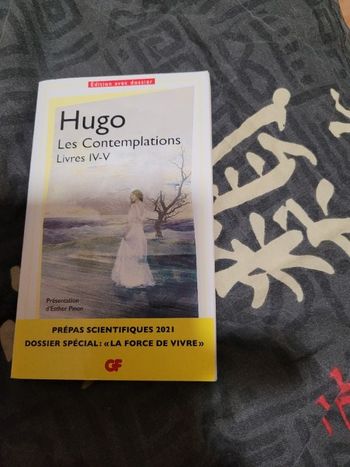 Lrs contemplations livres IV et V Hugo