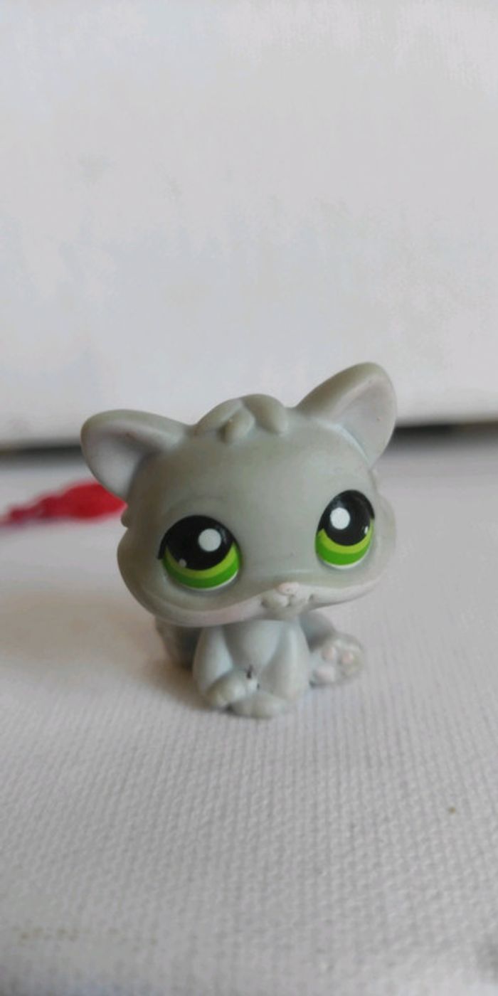My littlest petshop chat snowshoe 88 avec collier accessoire - photo numéro 2