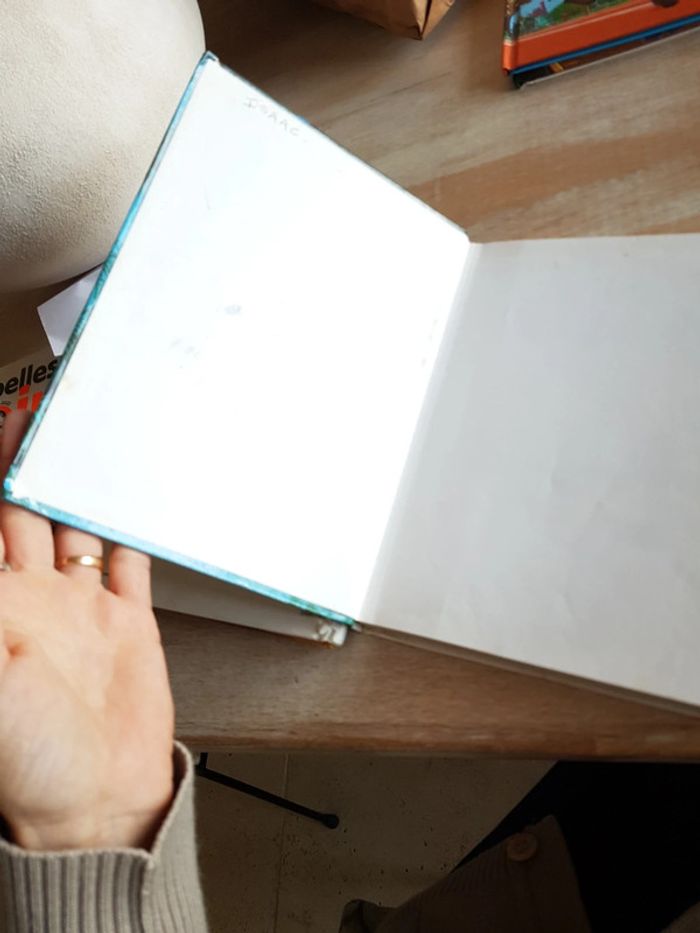 lot de 2 livres Disney - photo numéro 9