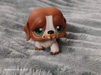 Petshop chien 235