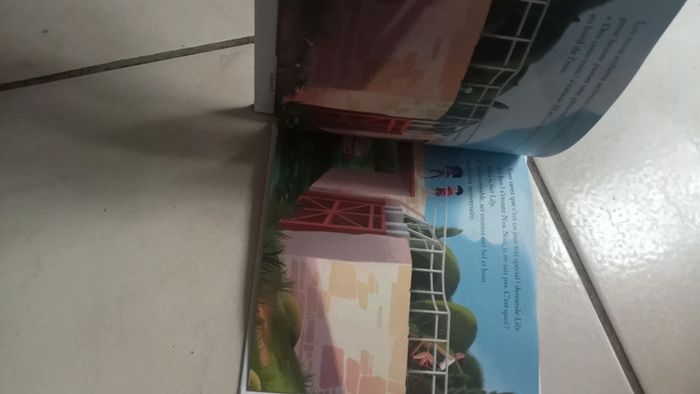 Lot de deux livres d'histoire - photo numéro 5