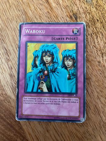 Carte Yu-Gi-Oh! Waboku DDY-F036