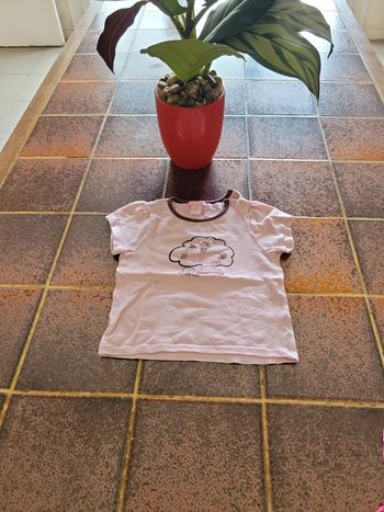 Tee shirt manches courtes