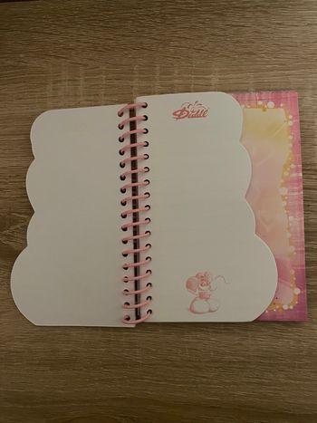 Carnet Diddlina A6 