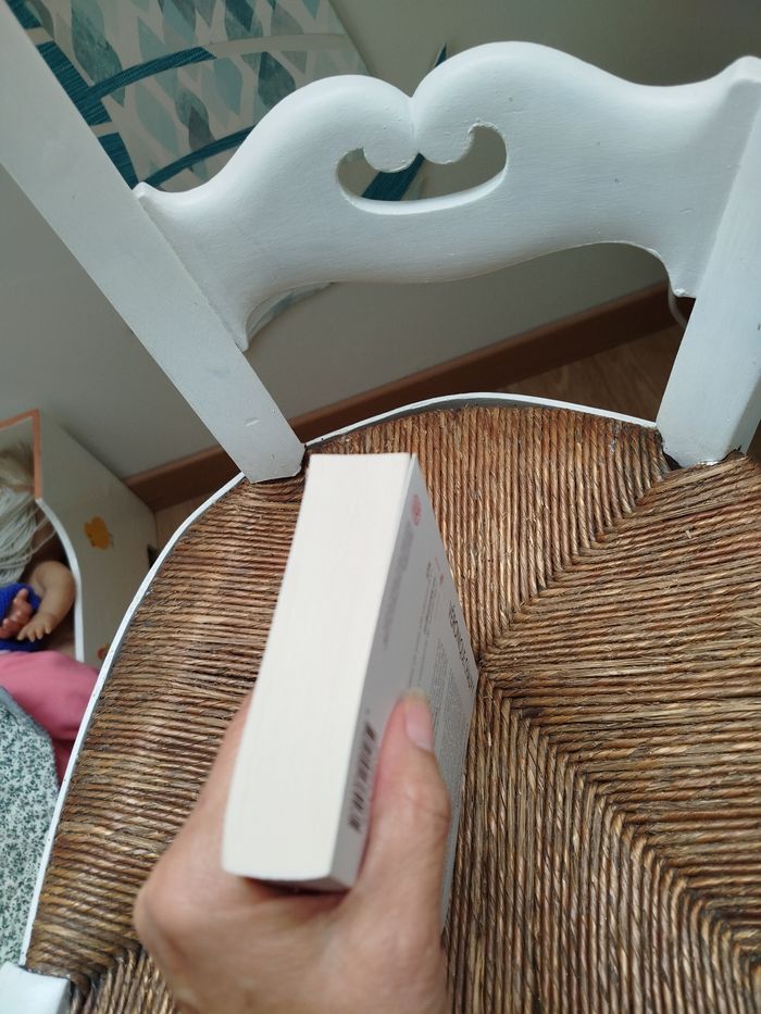 L'Ivresse du Vent de Véronique Chauvy - photo numéro 6