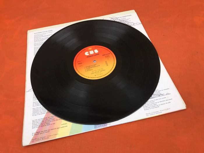 Vinyle 33 tours  Francis Cabrel  Les chemins de traverse  (1979)   CBS 83433 - photo numéro 5