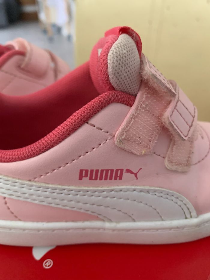 Basket puma