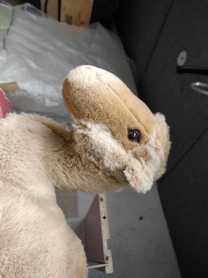 Peluche chameau (P) - photo numéro 2