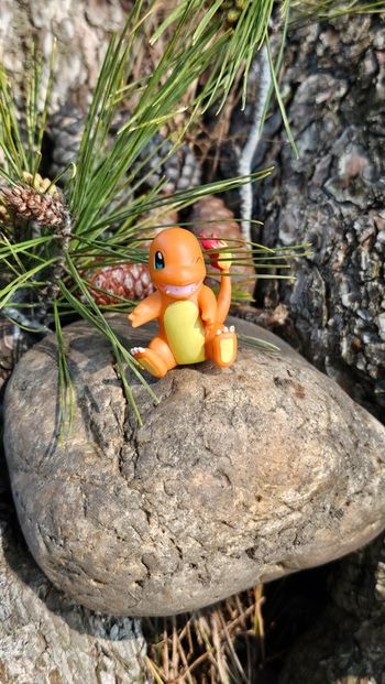 Super figurine Pokemon Nintendo Salameche