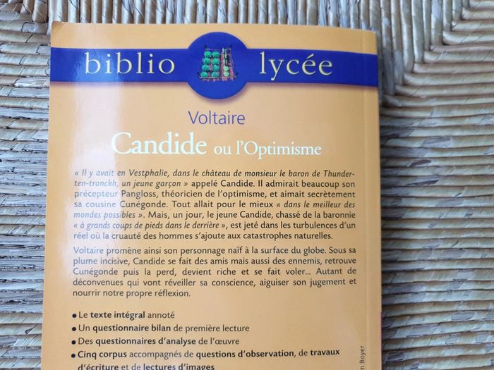 Candide ou l'optimisme de Voltaire éditions Hachette ( biblio lycée) - photo numéro 4