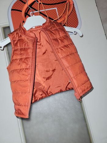 Veste
