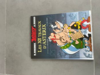 Livre Les 12 Travaux d'Astérix TBE enfant 
