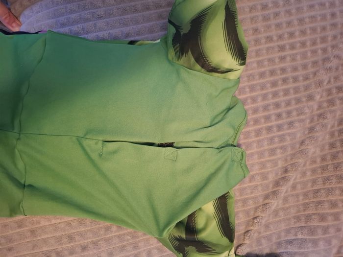 Costume hulk - photo numéro 5