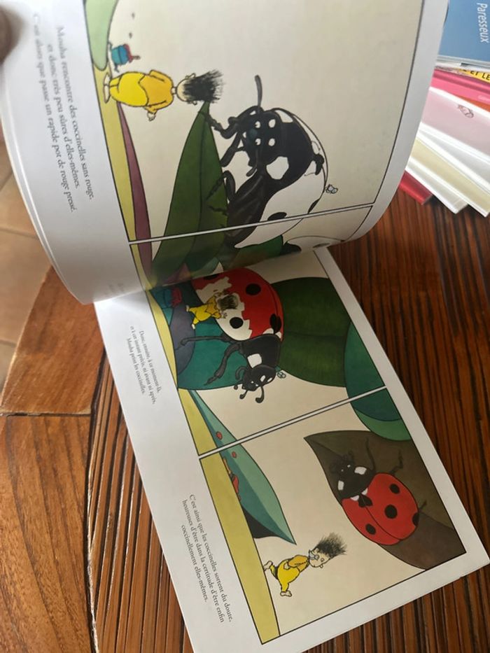 Livre : moucha - photo numéro 4