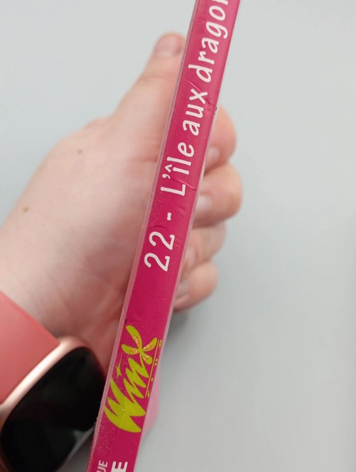 Winx - l'île aux dragons - photo numéro 3