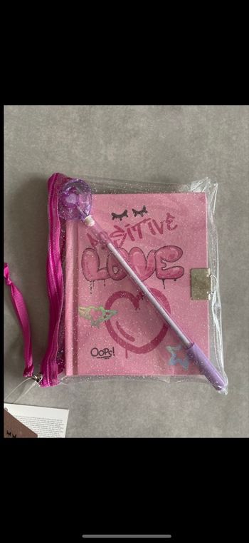 Carnet ou journal secret intime avec stylo