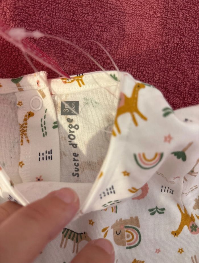 Combishort - photo numéro 2