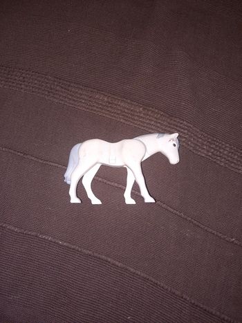 Cheval playmo