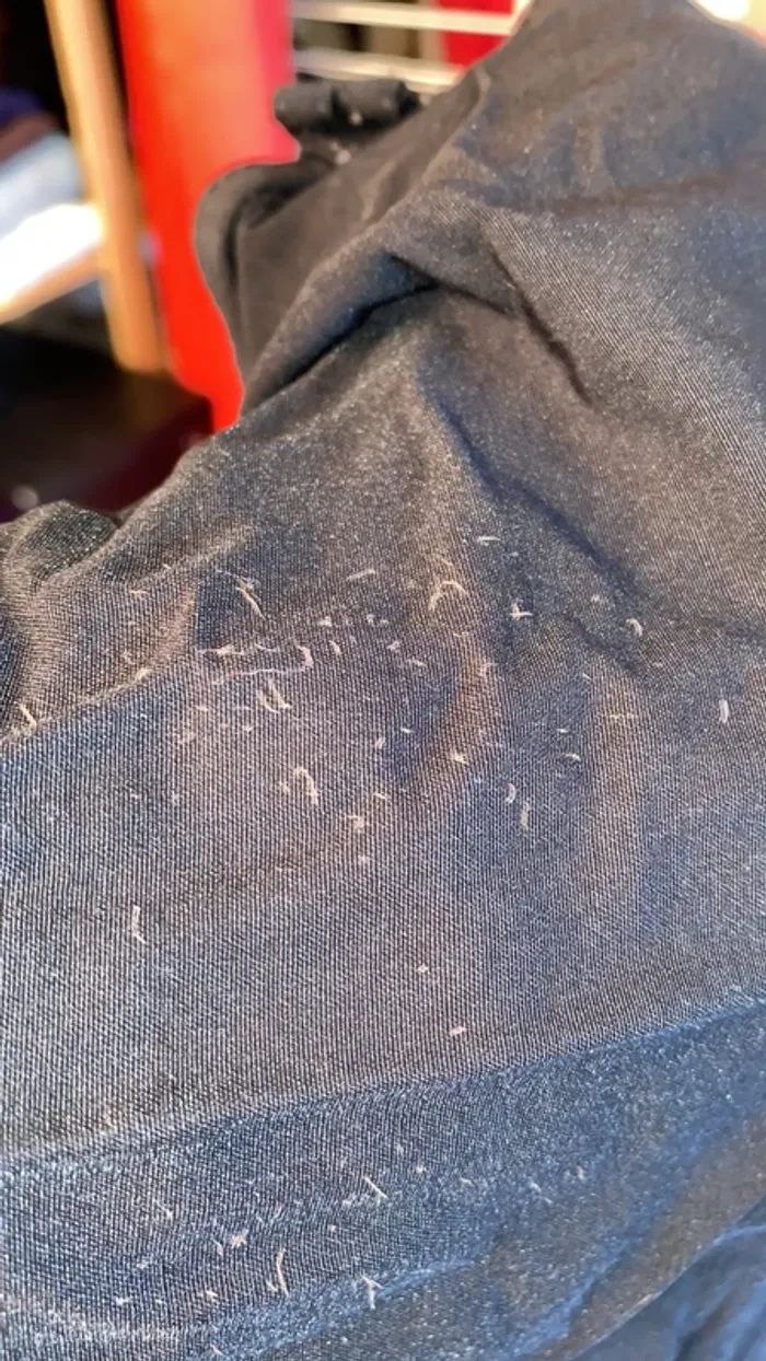 Pantalon élastique taille 50 - photo numéro 3