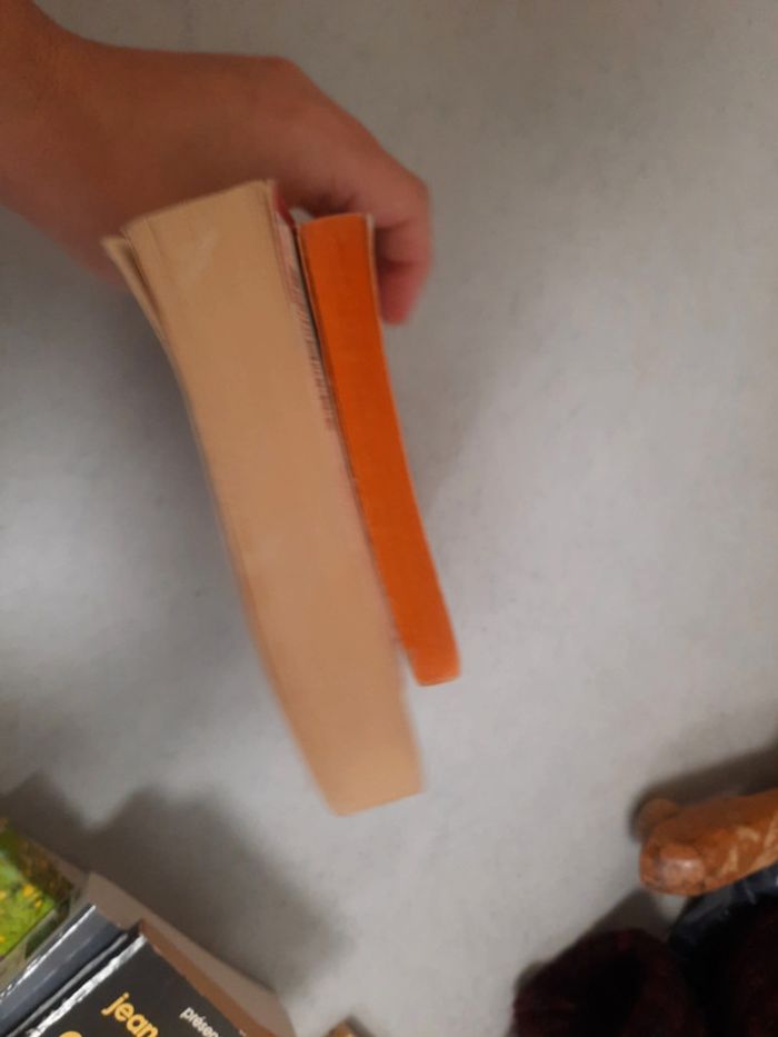 Lot livre amour - photo numéro 5