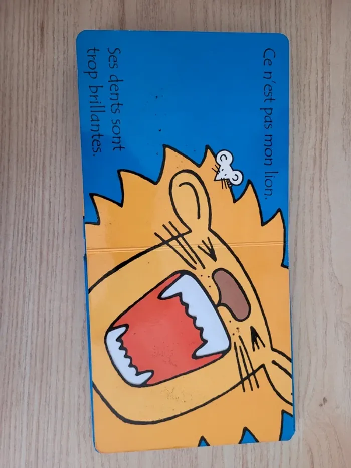Où est mon lion? - photo numéro 8