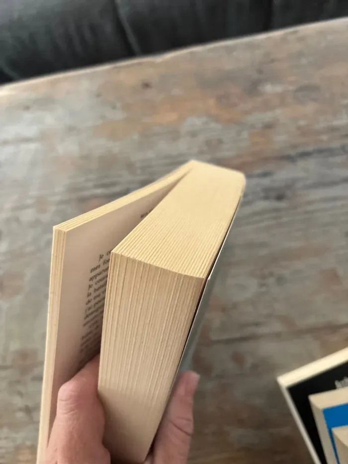 Lot 5 livres - photo numéro 17