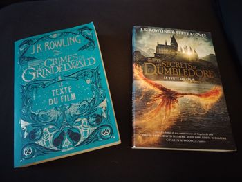 Lot livres Harry Potter