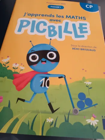 J'apprends les maths avec picbille CP