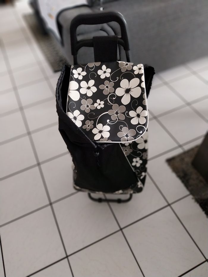 Caddie de courses - photo numéro 1