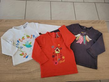 Lot de 3 tee-shirts fille en 12 mois