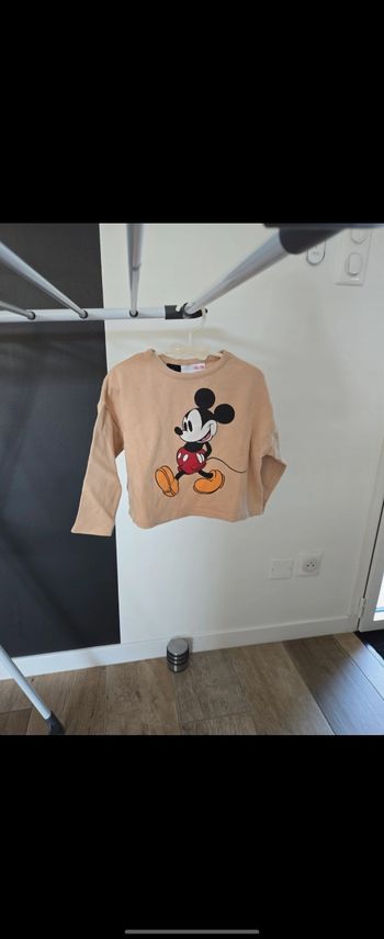 Pull 12-18 mois