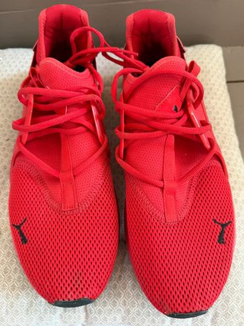 Basket puma homme taille 45